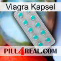 Viagra Capsule 28